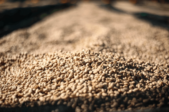 Ethiopia • Hambela Guji